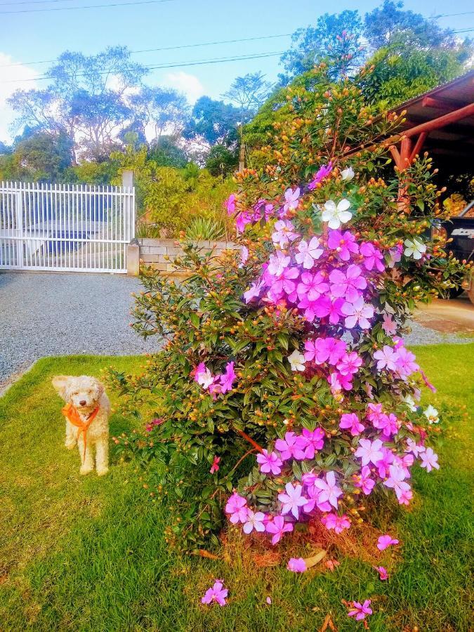 Le Petit Cherie Blumenau Exterior photo